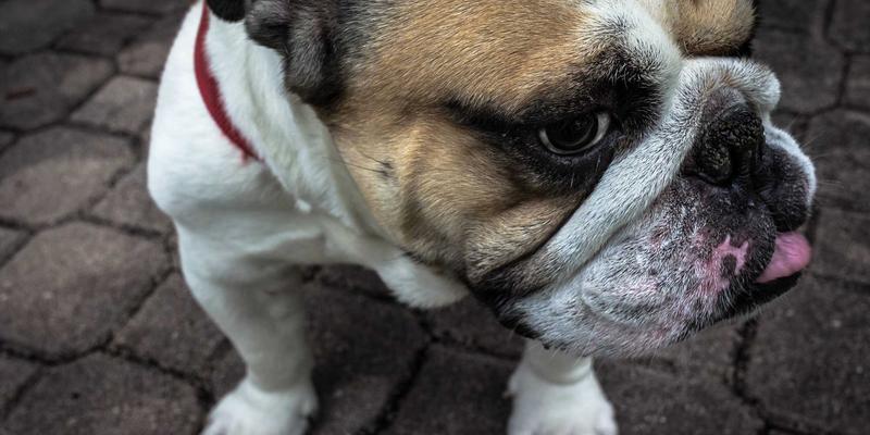 Fashion Blog79:在个人博客中融合时尚、美妆与生活美学的完整指南