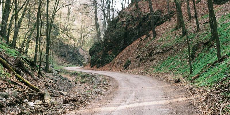 从个人博客到时尚殿堂：如何打造一个充满魅力的时尚生活博客