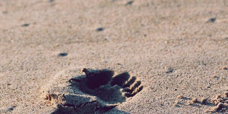 从静态到动态：时尚博主Natalia Fabio的Style Inspiration与Beauty Tips短视频转型指南