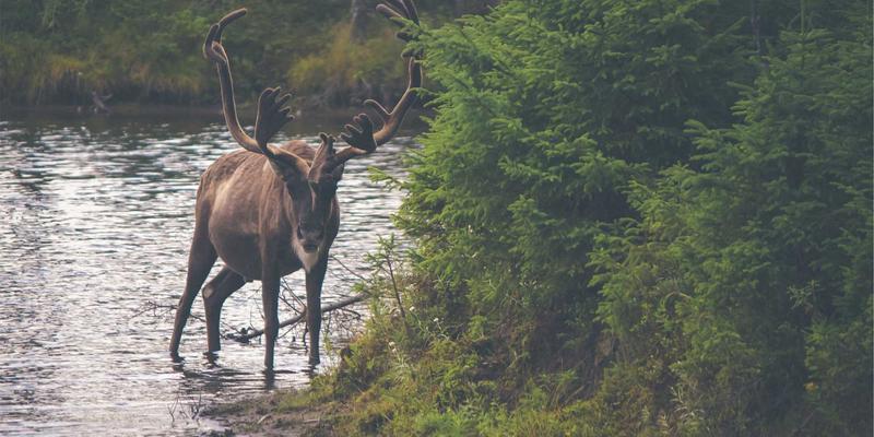 时尚博客进阶指南：从美妆秘诀到风格灵感，打造你的专属时尚叙事